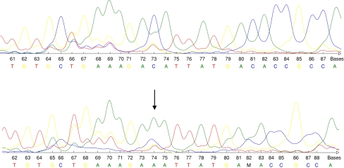 Fig. 2