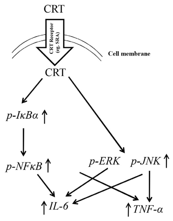 Figure 6.