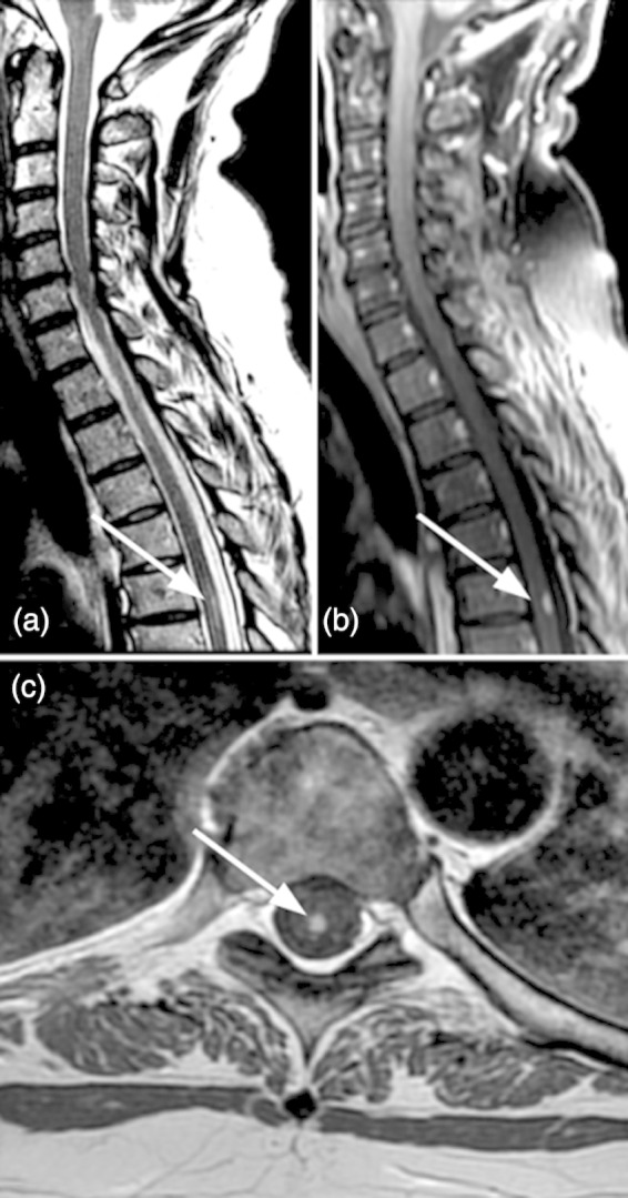 Figure 1: