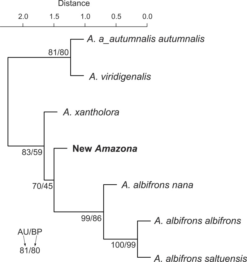 Figure 10