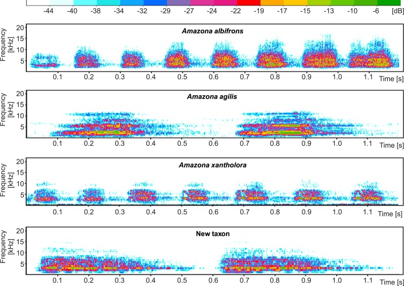 Figure 11