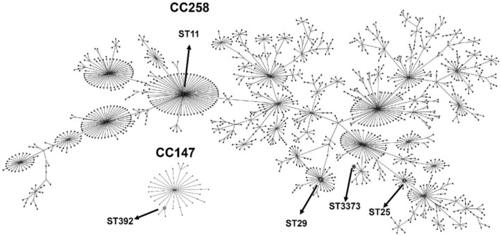 FIGURE 2