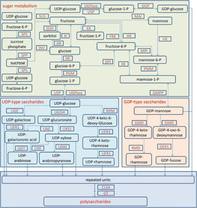 FIGURE 2