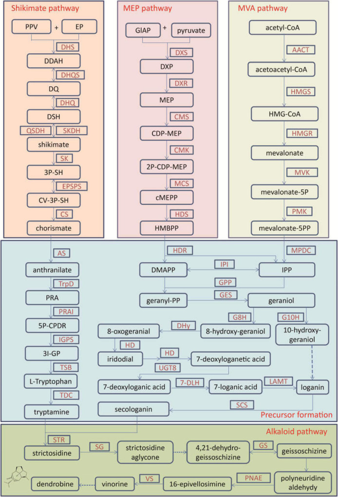 FIGURE 1