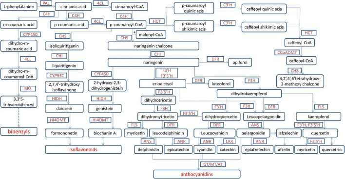 FIGURE 3