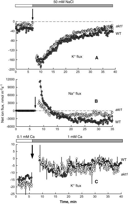 Figure 5.