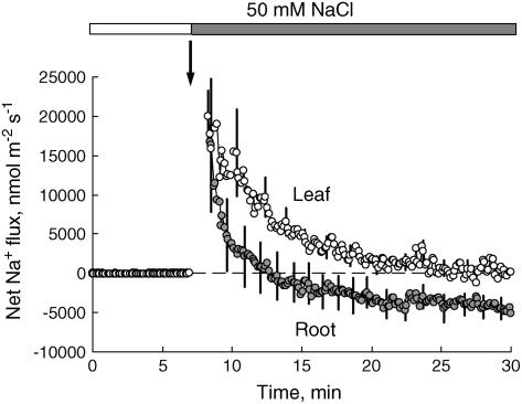 Figure 3.