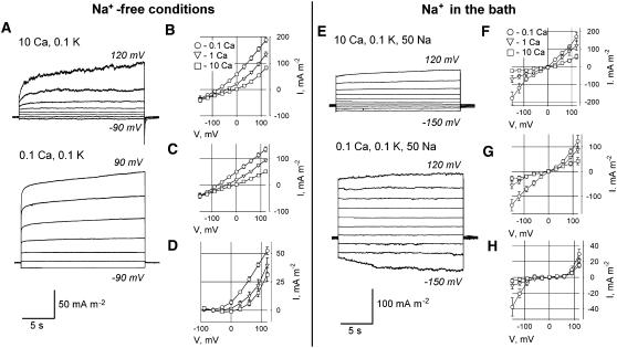 Figure 8.