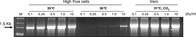 FIG. 5.