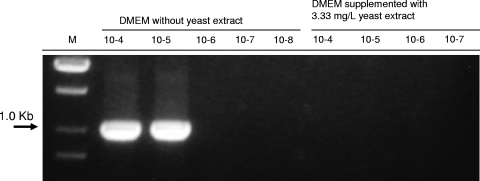 FIG. 6.