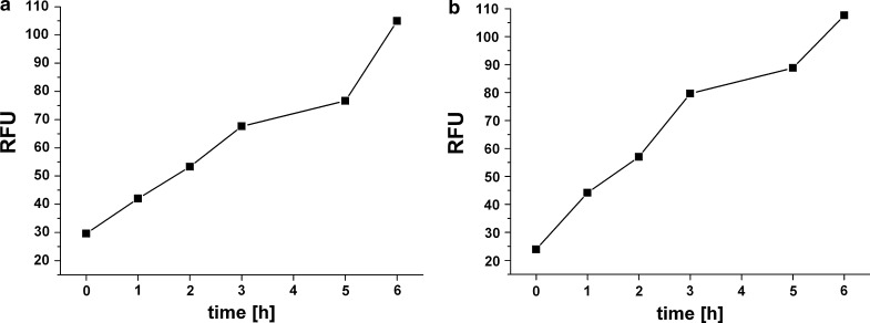 Fig. 5