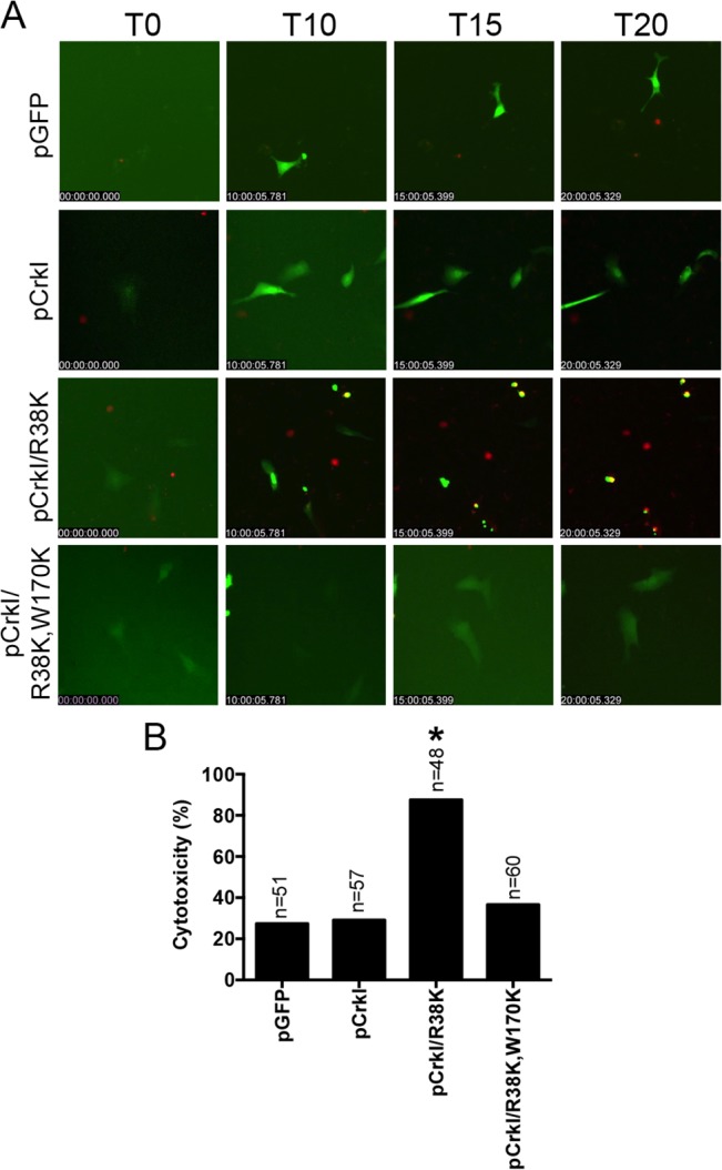 Fig 6