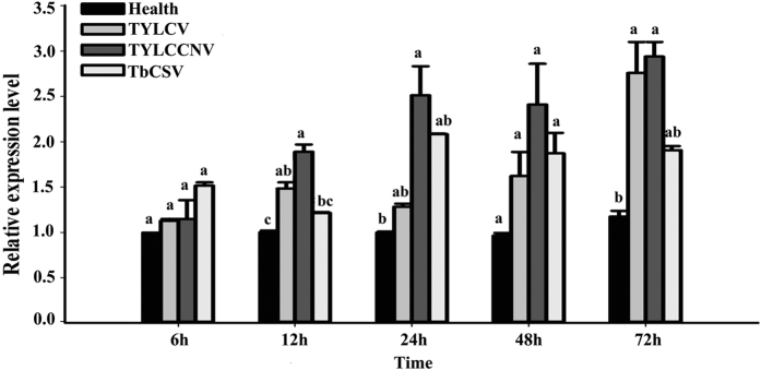 Figure 5