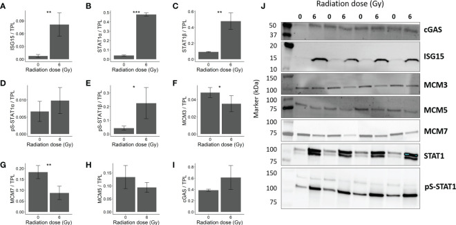 Figure 5