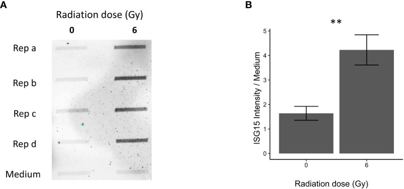 Figure 4