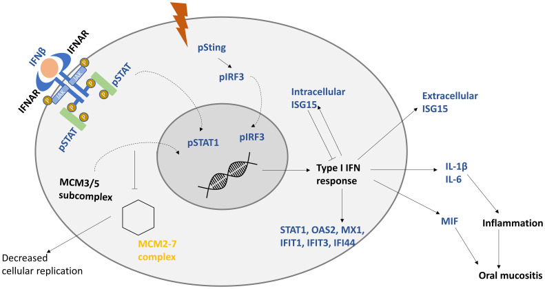 Figure 6