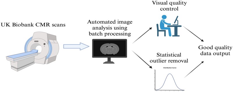 Graphical Abstract