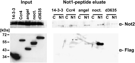 FIGURE 4.