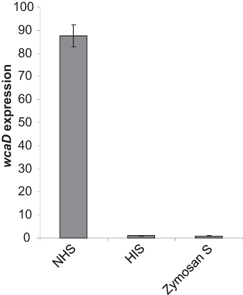 FIG 6