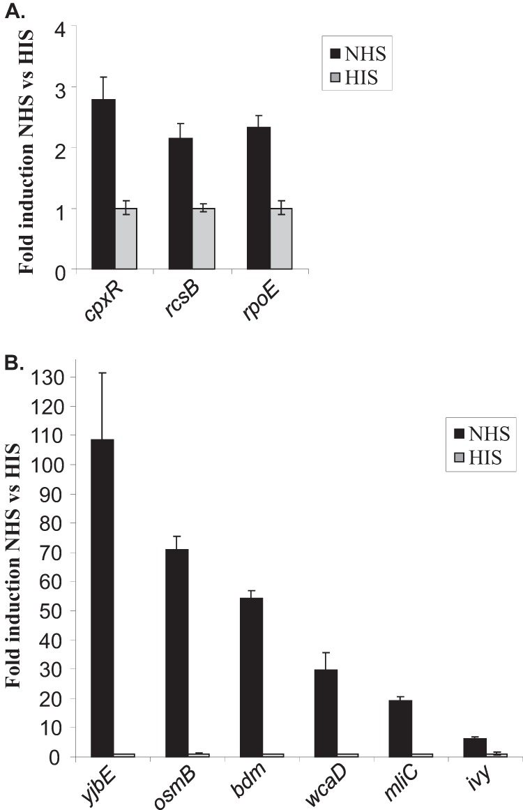 FIG 2