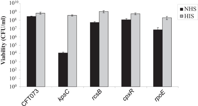 FIG 3