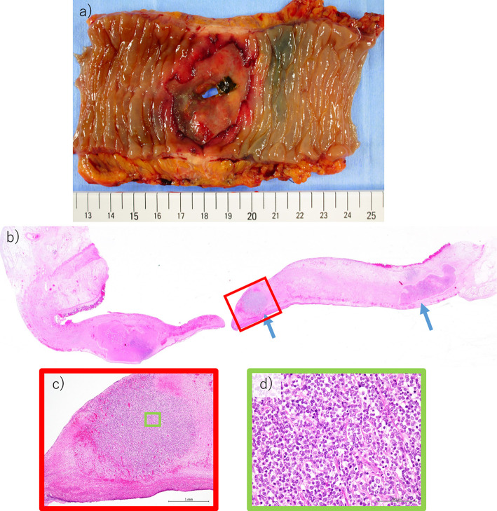 Figure 5.