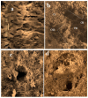 Figure 26