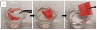 Figure 29