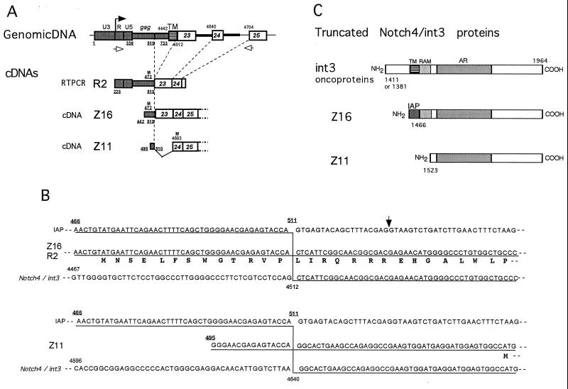 FIG. 3