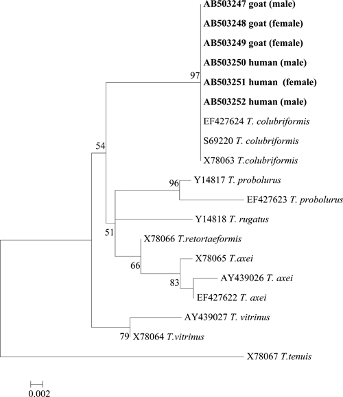 Figure 4.