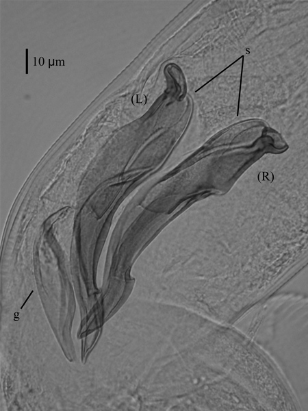 Figure 2.