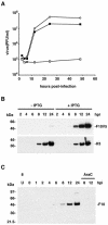 FIG. 1.