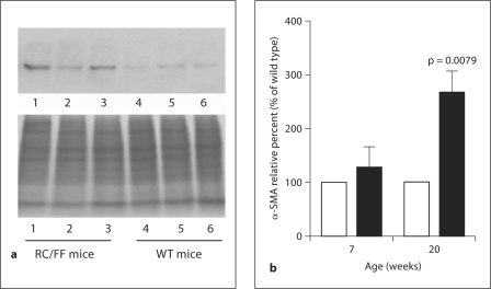 Fig. 11