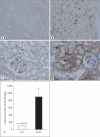 Fig. 12