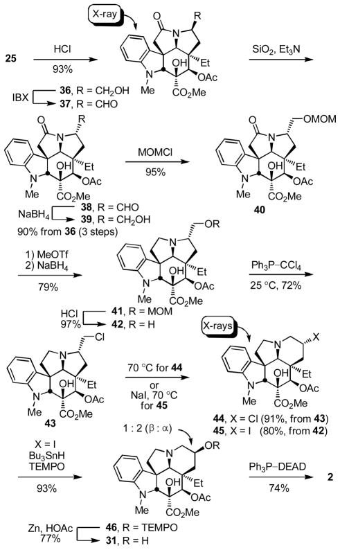 Scheme 4