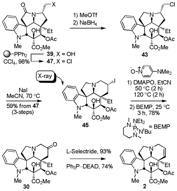 Scheme 5