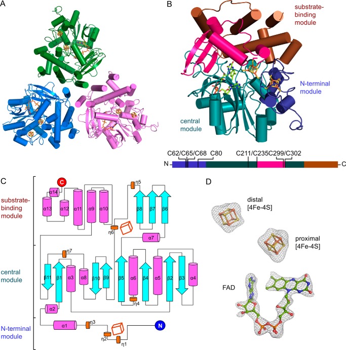 FIGURE 3.