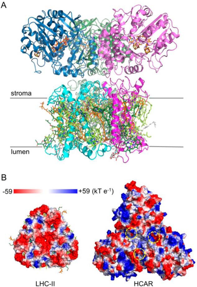 FIGURE 9.