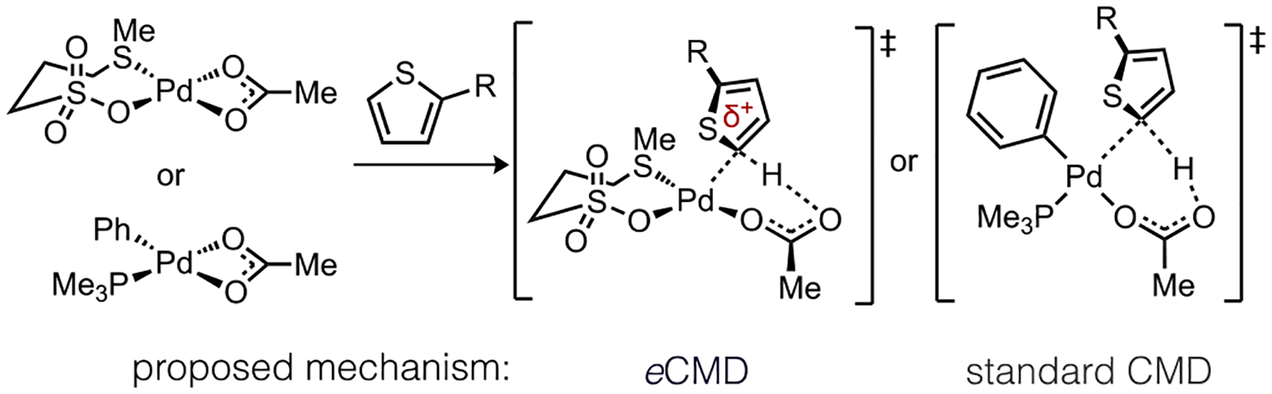 Scheme 4.