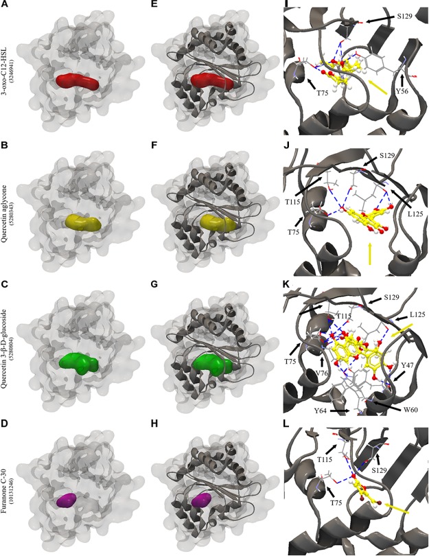 FIGURE 6