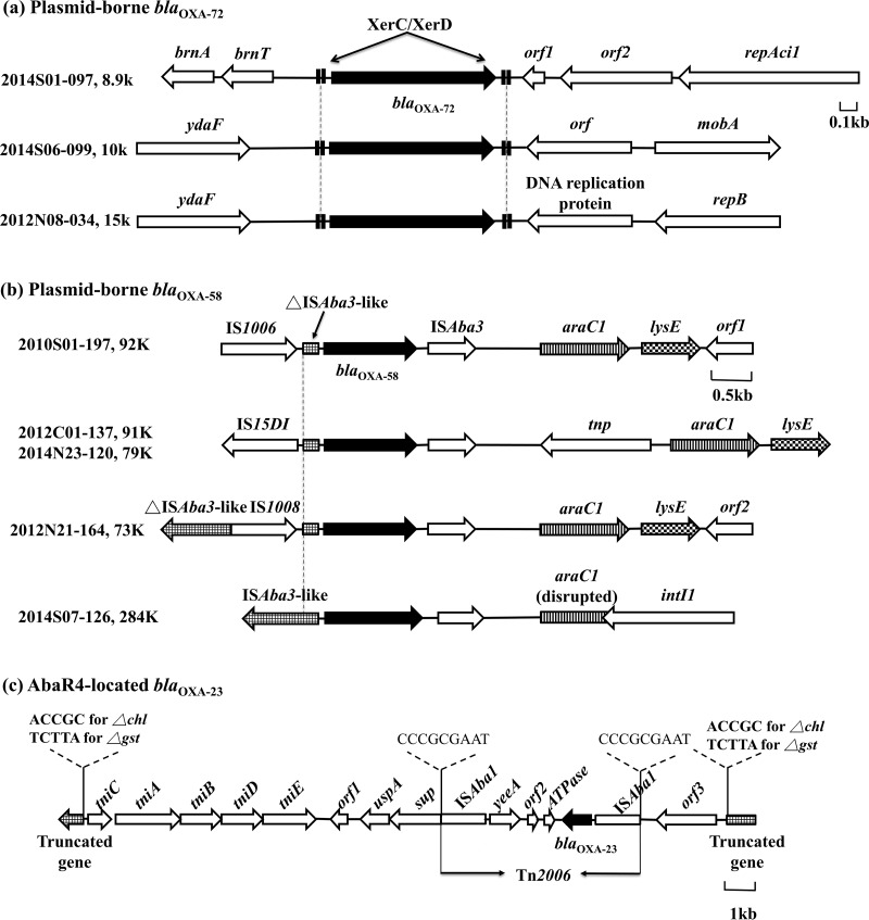 FIG 3