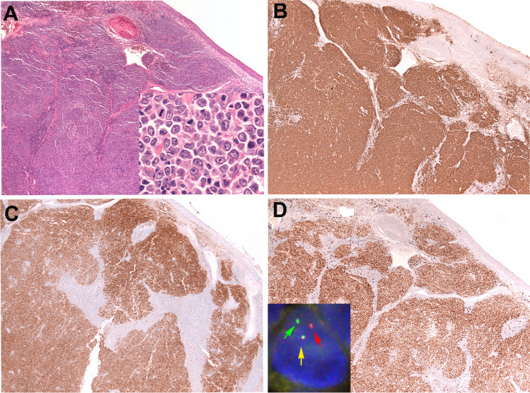 Fig. 2