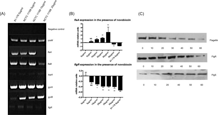 FIG 4 