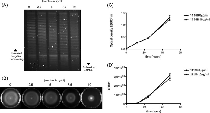 FIG 3 