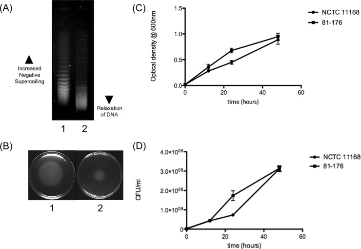 FIG 1 