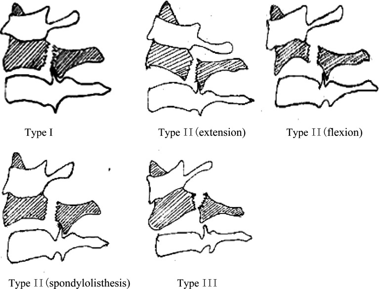 Fig. 1