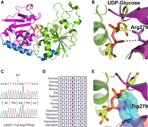 Figure 3