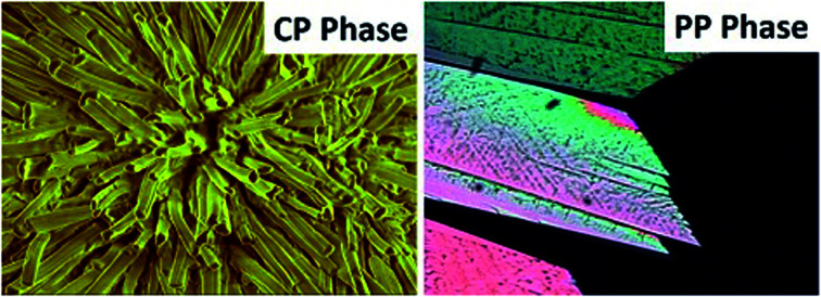 graphic file with name d0ra08543j-ga.jpg