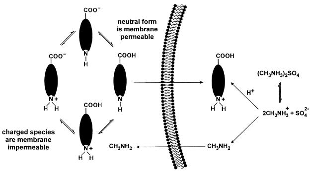 FIG. 8