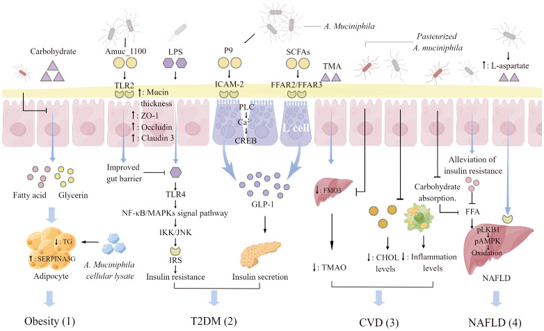 Figure 2